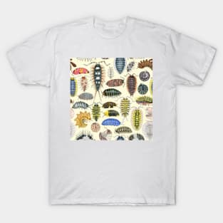 Crazy Isopod Pattern T-Shirt